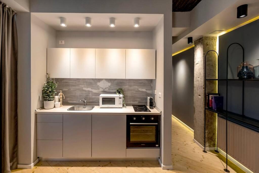 ブカレストMarvellous Design 2Br Old Townアパートメント エクステリア 写真
